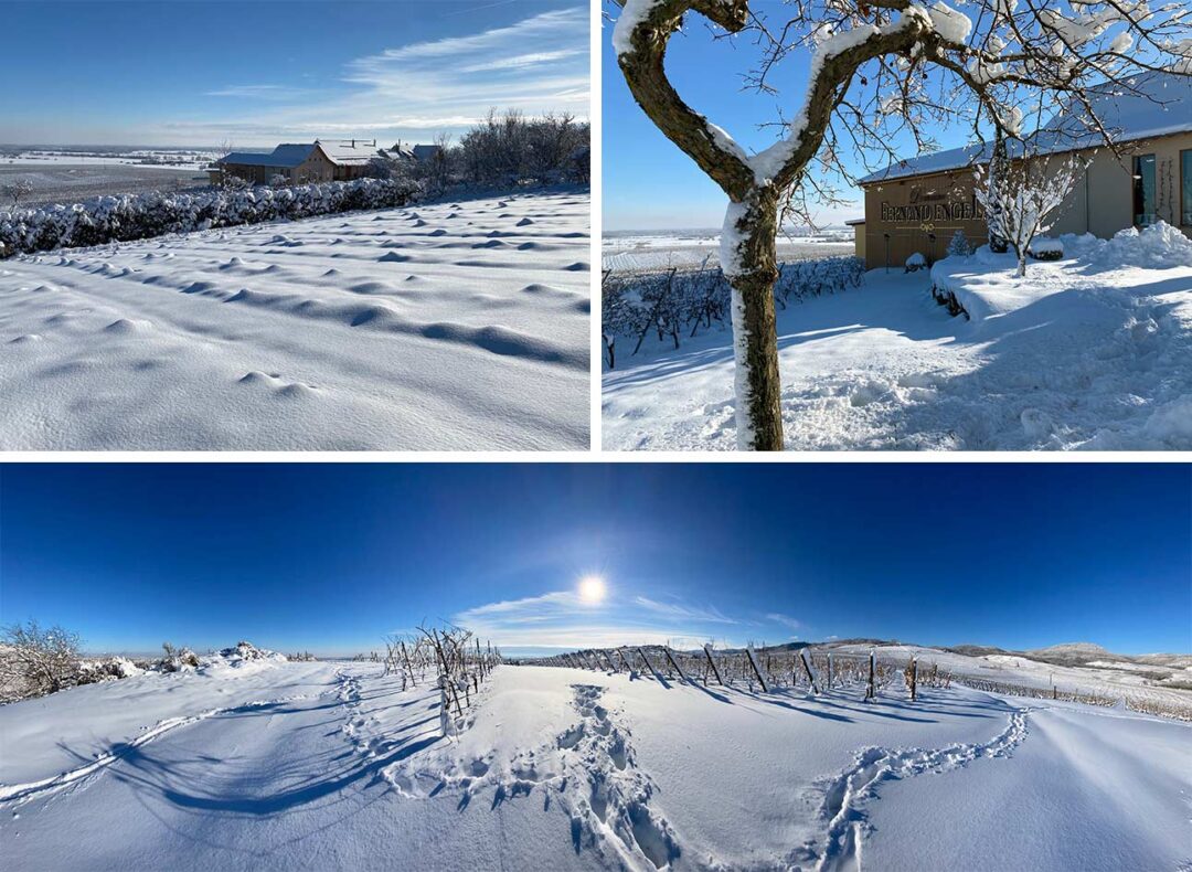 Wijngaard Fernand Engel in de sneeuw